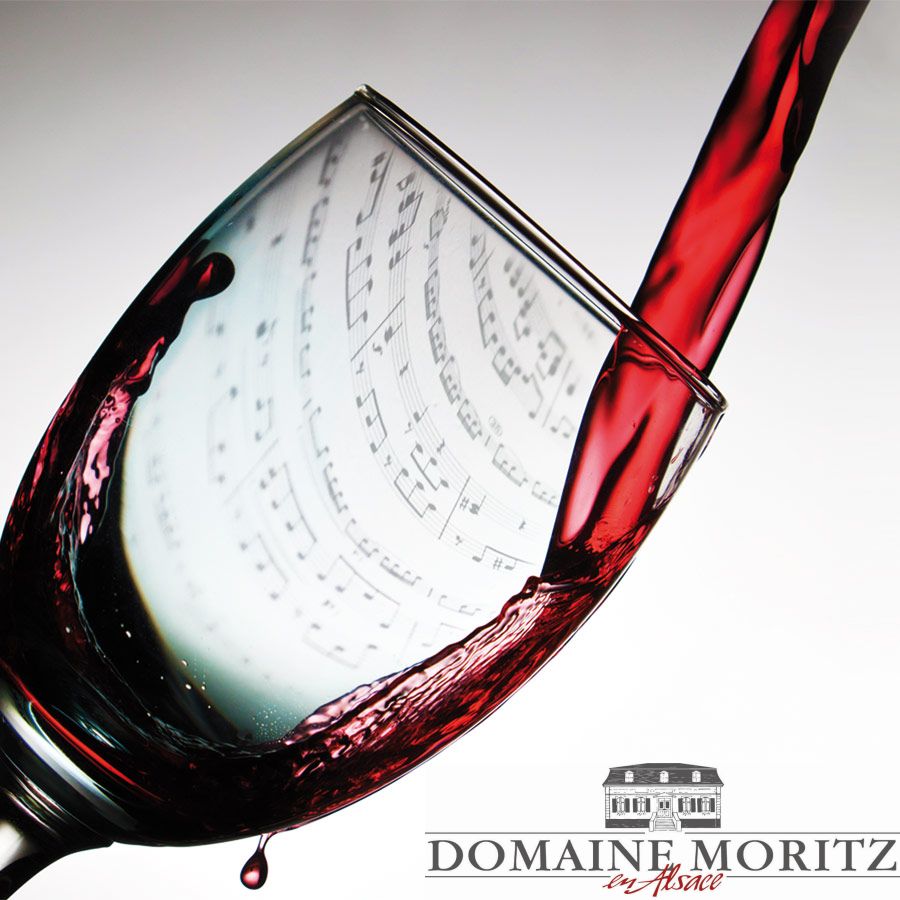 Domaine Moritz2